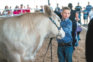 0528E_JoCo_Fair.jpg