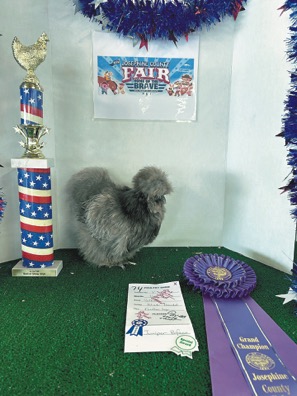 0811E_Poultry.jpg