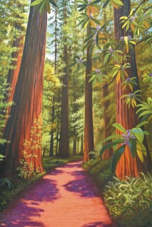0903E_ArtRedwoods.jpg